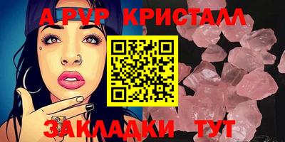 спайс Тара