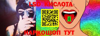 спайс Тара