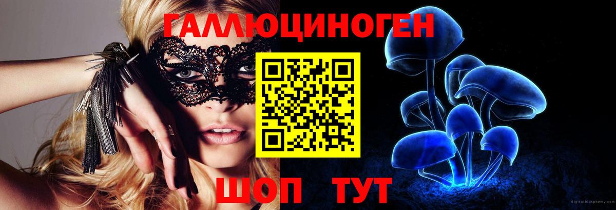 Галлюциногенные грибы Psilocybe  Вход с VPN  Псилоцибиновые грибы Psilocybe  Боровичи 