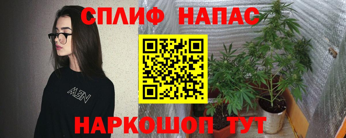 Боровичи  Конопля сатива  Бошки марихуана Amnesia  Вход с VPN  МАРИХУАНА гибрид  Марихуана план 